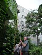 ゴーヤ摘芯2011.8.5