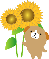 夏のクマちゃん